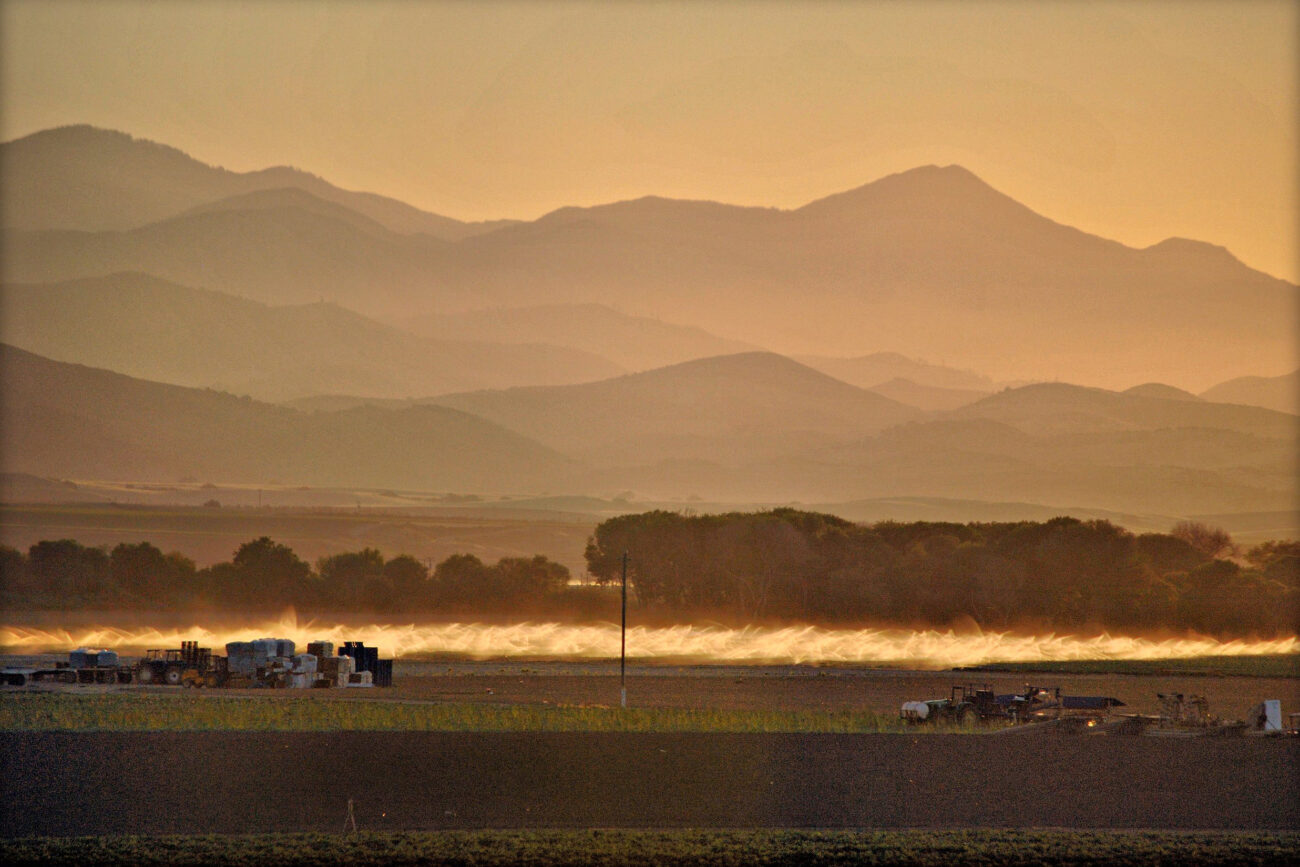 Salinas Valley, Salinas Valley Tribune, King City Rustler